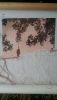 20160223_135326.thumb.jpg.17a64b134143ee