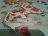 20160223_205547.jpg