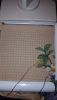 20160224_184650.thumb.jpg.eec570b2b36702