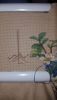 20160224_203420.thumb.jpg.3fa922c2aba8f0