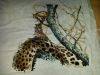 20160226_113153.thumb.jpg.0ac537d6deb437