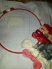 20160226_114213.thumb.jpg.f8abedc88931d2