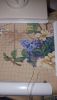 20160226_232744.thumb.jpg.5b616a31d4143a