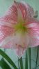 20160228_123214.thumb.jpg.1d64d50c17d442