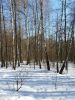 20160228_133506.thumb.jpg.8360deb6b4fbba