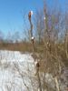 20160228_140632.thumb.jpg.b3c6d14e19fb0b