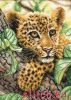 Dimensions 65118, Leopard Cub