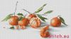 24573.thumb.jpg.8db000aceb445724b893f084