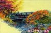 2628.thumb.jpg.aa1f1a3710464c1ccf38ee529