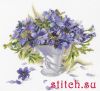 30965.thumb.jpg.6cf07fb82147986c7ef8d710