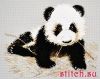 31890.thumb.jpg.ef9328d81ccd0e389af69380