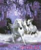 Kustom Krafts 98967, Horses in the Night (Лошади в ночи)