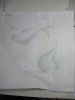 33.thumb.jpg.7cd182ba3ef2c813eeb660ad15f