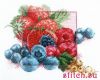 33332.thumb.jpg.b631867dd017afcedc6f05f6
