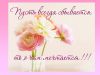 4411146.thumb.jpg.32ec44874ccbc62155e1a8