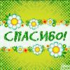 спасибо2.jpg