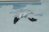 56b67b7e549c0_Dim-35001-ArcticAntics2-3.