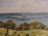 56befd2c2ecdd_20160213_0202221.thumb.jpg