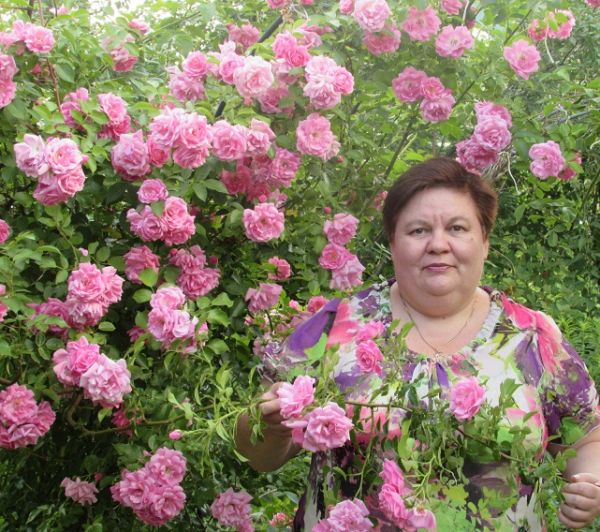 Аватар попугай65
