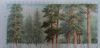 56c4906589f34_806.02.2016.thumb.jpg.3387