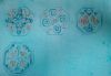 56c6f0cf9ed33__2.thumb.jpg.b78c2fde1c711