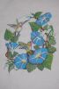 56cd84ba412d6_2.thumb.JPG.3a0334c7c9f162