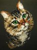 6.thumb.JPG.c1a146fcf7f1545efcae1051f294