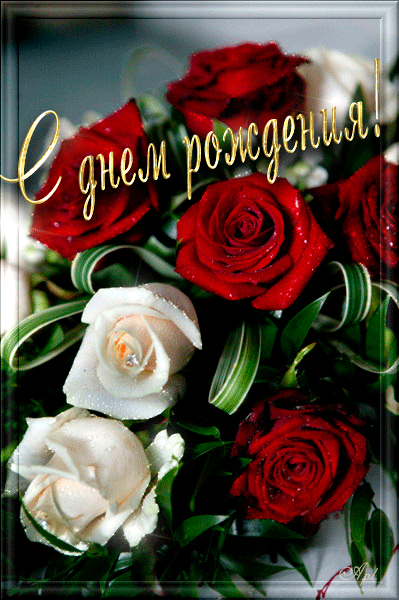 713296748.thumb.gif.6d90b2ba8b7123a62f35