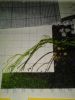 AsLqMB6WZyg.thumb.jpg.7747fa45de07c6c61c