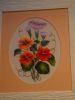 DSC01091.thumb.JPG.4bd2f198974d8772f2145