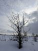 DSC01166.thumb.JPG.5a7f65e44c80759afdc64