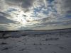 DSC01183.thumb.JPG.aa94f70b30c75d90f5de0