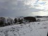 DSC01187.thumb.JPG.3daa6b60f365094339109