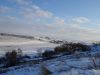 DSC01198.thumb.JPG.d69ea8fb4fd369d5c8f42