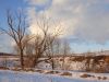 DSC01217.thumb.JPG.354a9bc9cb775303d9368