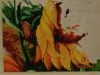 DSC02548.thumb.JPG.38cdce9c35ccdce38a1af