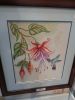 DSC02586.thumb.JPG.be2072d6f1d1a76531fd6