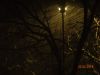 DSC02645.thumb.JPG.65c9213057073f2ac2400