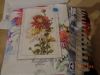 DSC02671.thumb.JPG.542c83960337ca95c1284