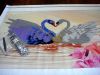 DSC03782.thumb.JPG.ded68cdf63dac6bc59633