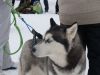 DSC03861.thumb.JPG.b5f9da00110b1caa2c124