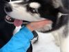DSC03911.thumb.JPG.d2690420911a97e34033b