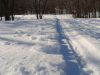 DSC04087.thumb.JPG.187274c0b26720aecf721