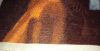 DSCI0006.thumb.JPG.560017064d1e9ae1e9570