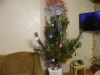 DSCN1111.thumb.JPG.f0a35ae6ac09407e94aa6