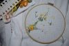 DSCN1352-2.thumb.jpg.f69b0ff6c8eb867076d
