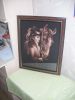 DSCN1934.thumb.JPG.2c50967767fbb6c4508ba