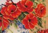 DSCN4789.thumb.jpg.e317f31bfb85fb679396d