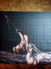 DSC_0041.thumb.jpg.8d0345c9b765ca21d8fe0