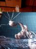 DSC_0043.thumb.jpg.68d5bf7daa7b8f4720f21